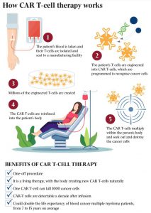 How CAR-T-cell therapy works